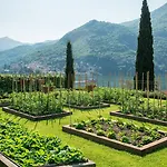 Passalacqua